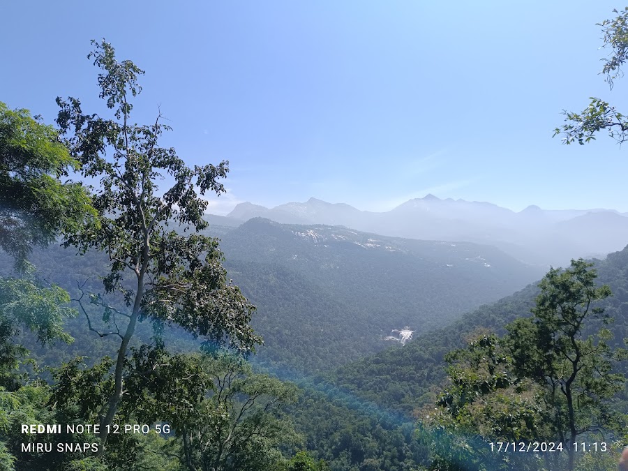 Chinnar Wildlife Sanctuary - Photo 3