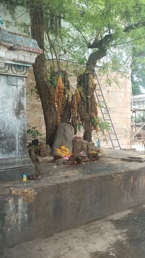 Thirukkandiyur Temple - Photo 4