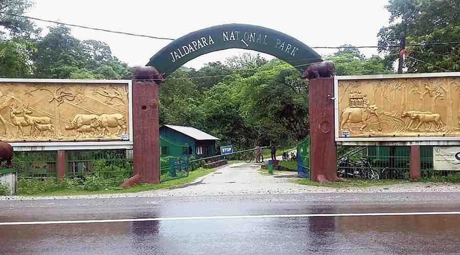 Jaldapara National Park - Photo 2