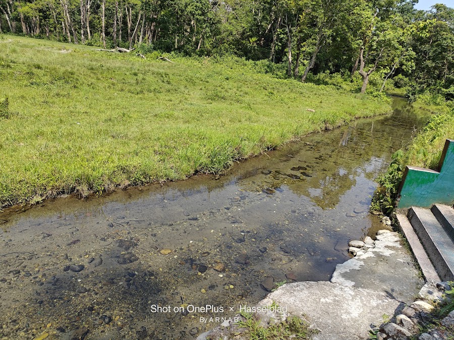 Jaldapara National Park - Photo 7