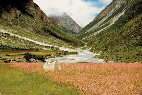 Munsiyari - Photo 2