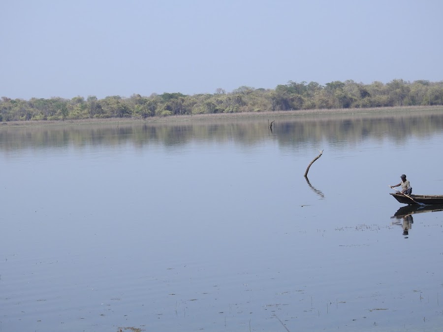 Tadoba Andhari Tiger Reserve - Photo 4