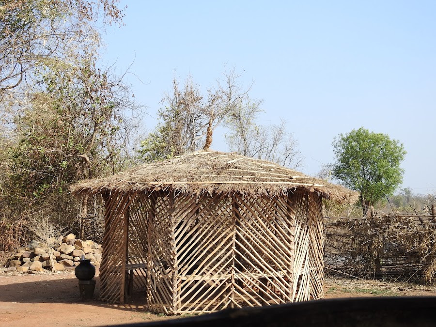 Tadoba Andhari Tiger Reserve - Photo 3