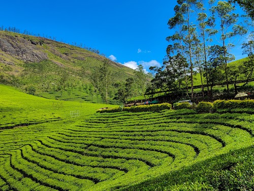 Munnar - Photo 5