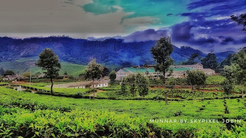Munnar - Photo 8