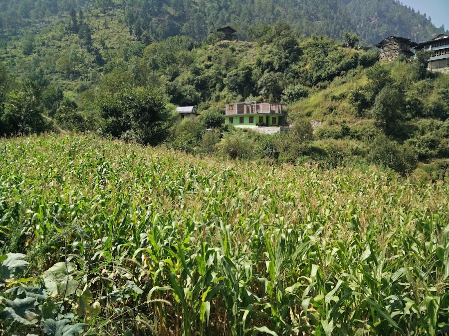 Tirthan Valley - Photo 4