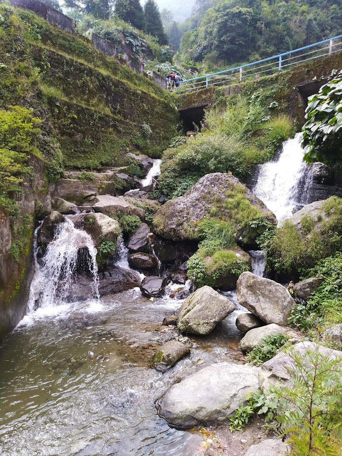 Rock Garden - Photo 3