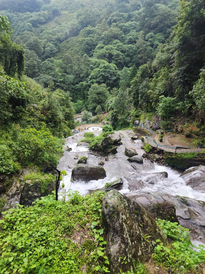 Rock Garden - Photo 4