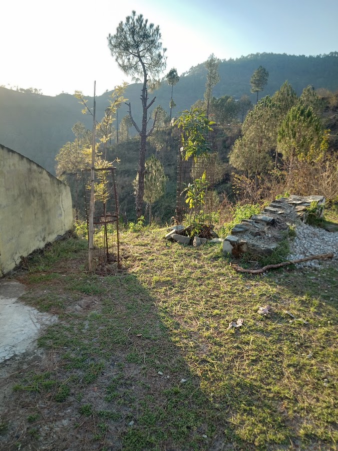 Ghandiyal Devta Temple - Photo 8