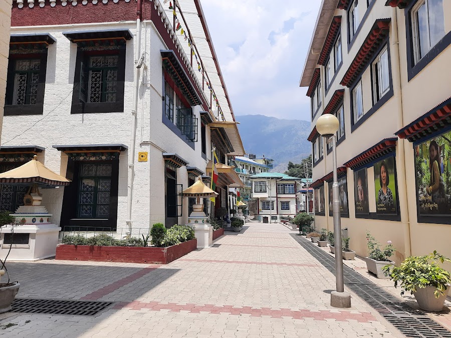 Library of Tibetan Works and Archives - Photo 4