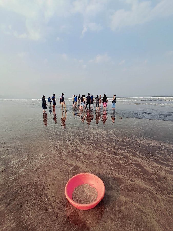 Diveagar Sea Turtle Hatchery - Photo 3