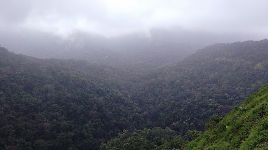 Echo Point - Photo 2