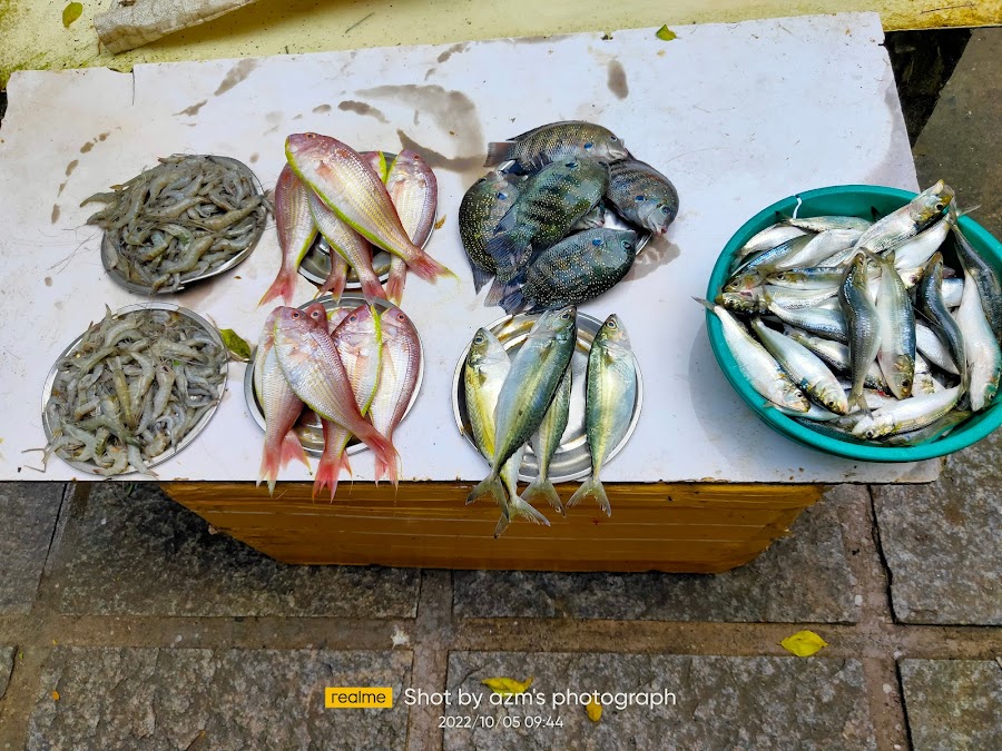 Chinese Fishing Nets - Photo 4
