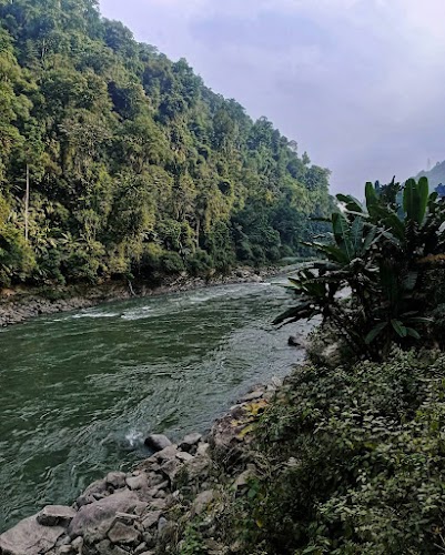 Nameri National Park And Forest Reserve - Photo 2
