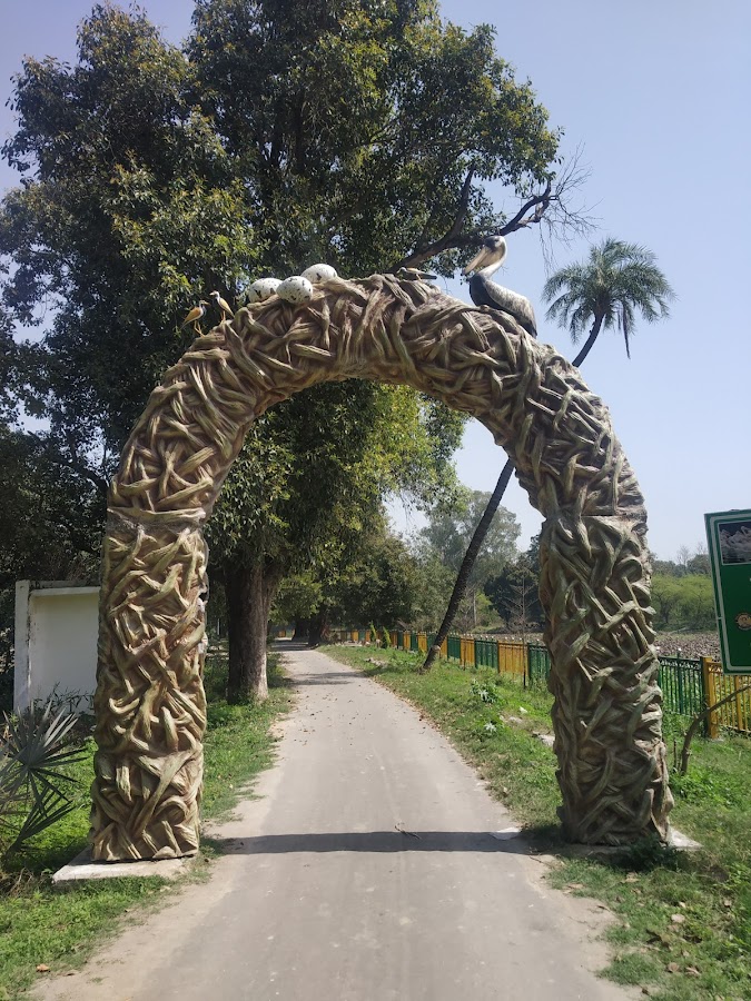 Kanjli Wetland - Photo 4