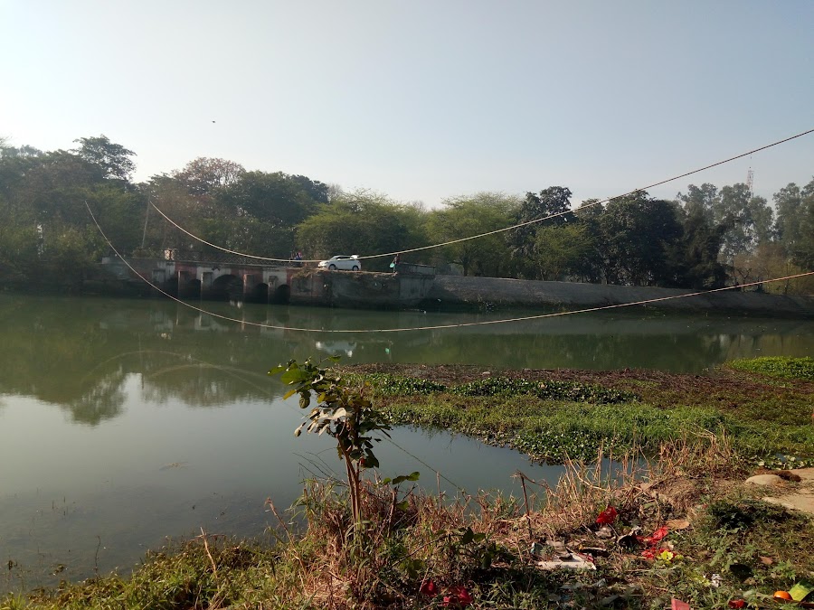 Kanjli Wetland - Photo 3