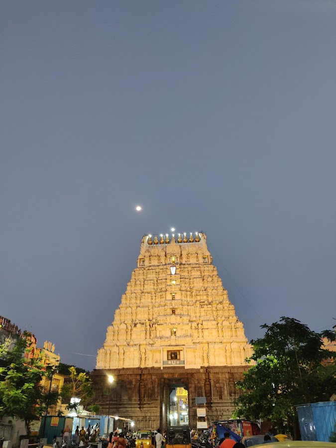 Arulmigu Sri Varadharaja Perumal Temple - Photo 3
