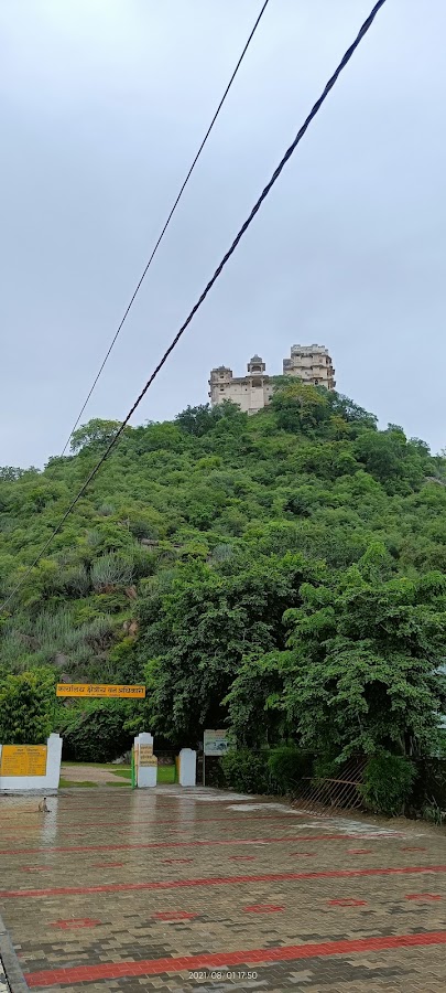 Jaisamand Lake - Photo 4