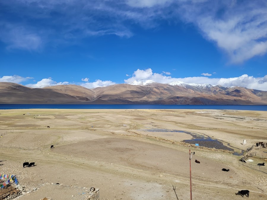 Tso Moriri Lake - Photo 3