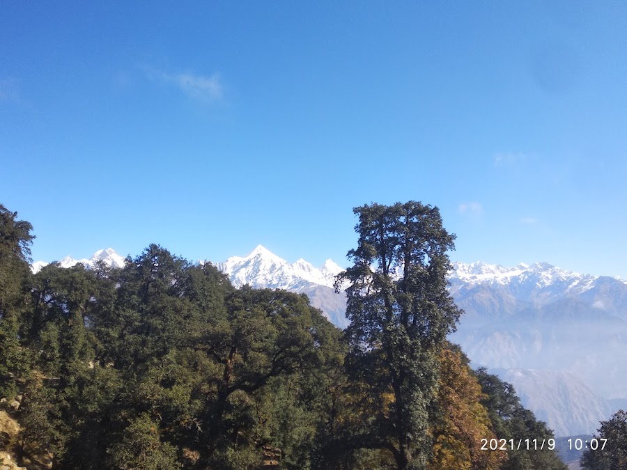 Betuli Dhar - Photo 7