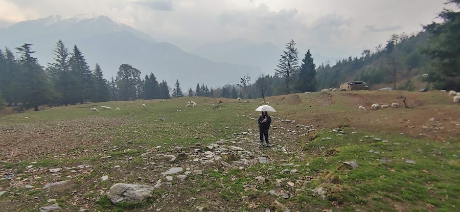 Betuli Dhar - Photo 5