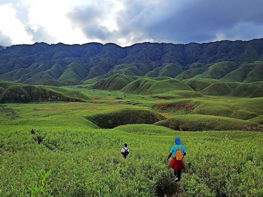 Dzukou Valley - Photo 3