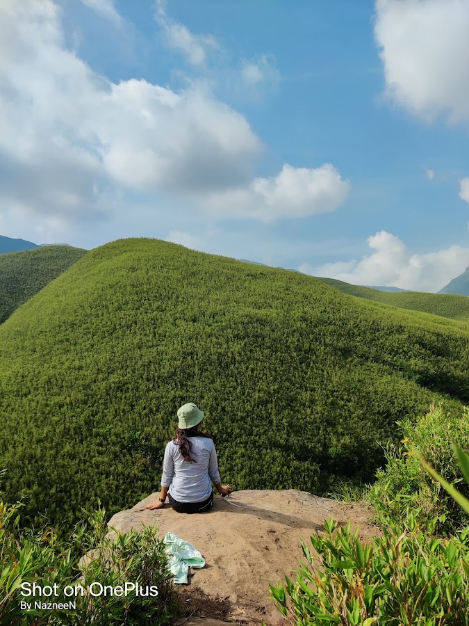 Dzukou Valley - Photo 4