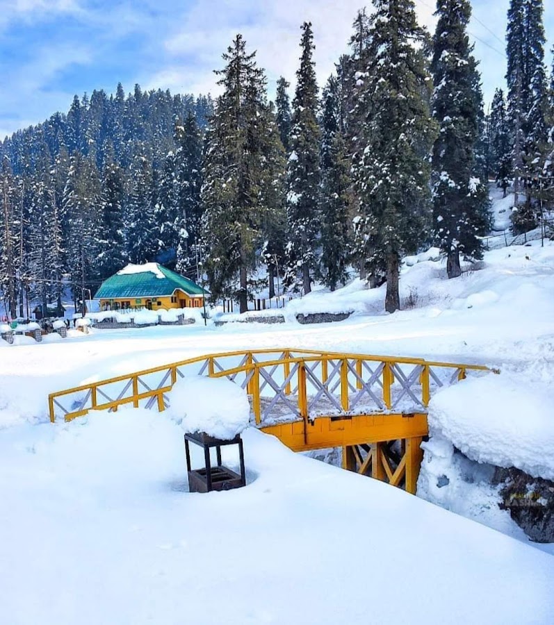 Gulmarg - Photo 6