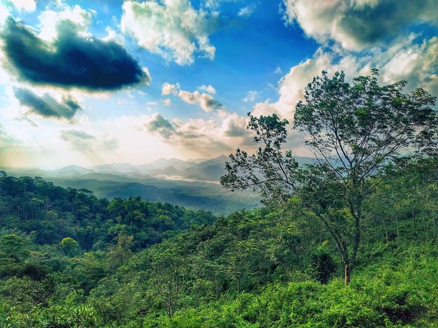 Shenduruny Wildlife Sanctuary - Photo 3