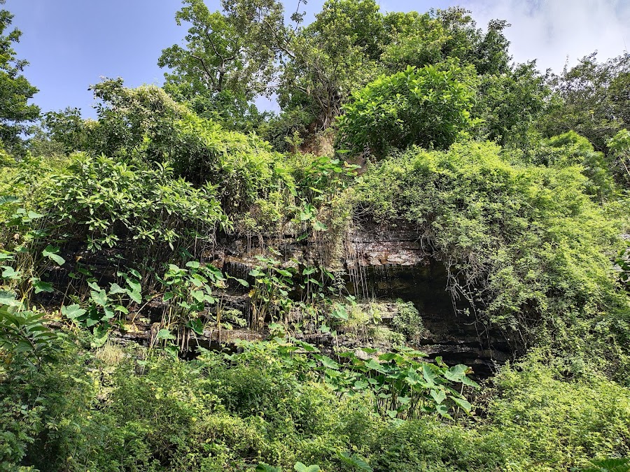 Mallela Theertham Waterfalls - Photo 3