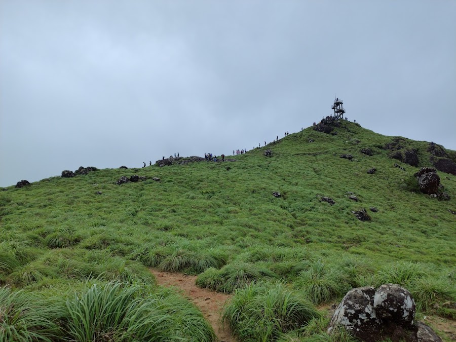Deer Park - Photo 3