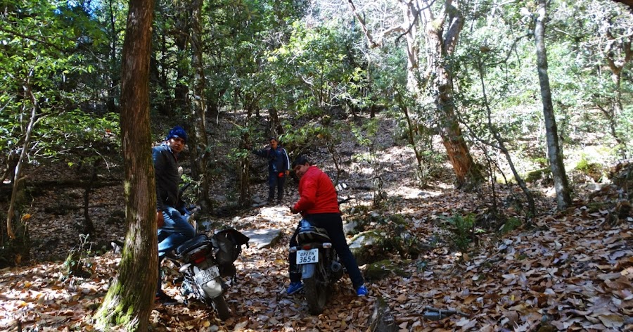 Doodhatoli - Photo 10