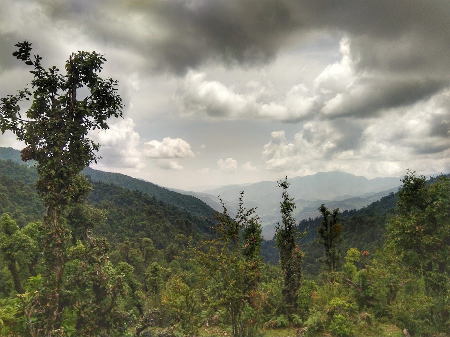 Doodhatoli - Photo 3