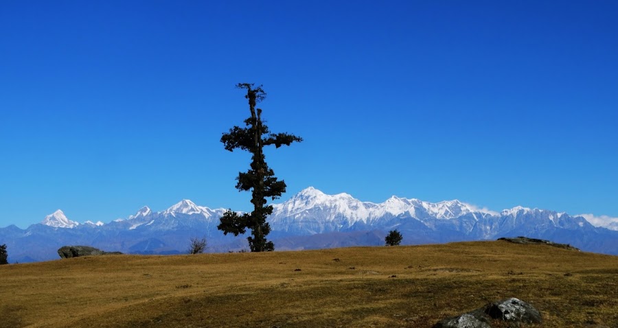 Doodhatoli - Photo 2