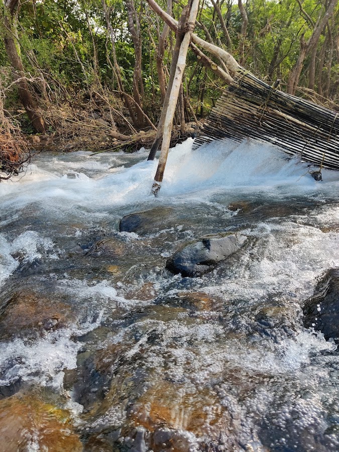 Lulung - Photo 5