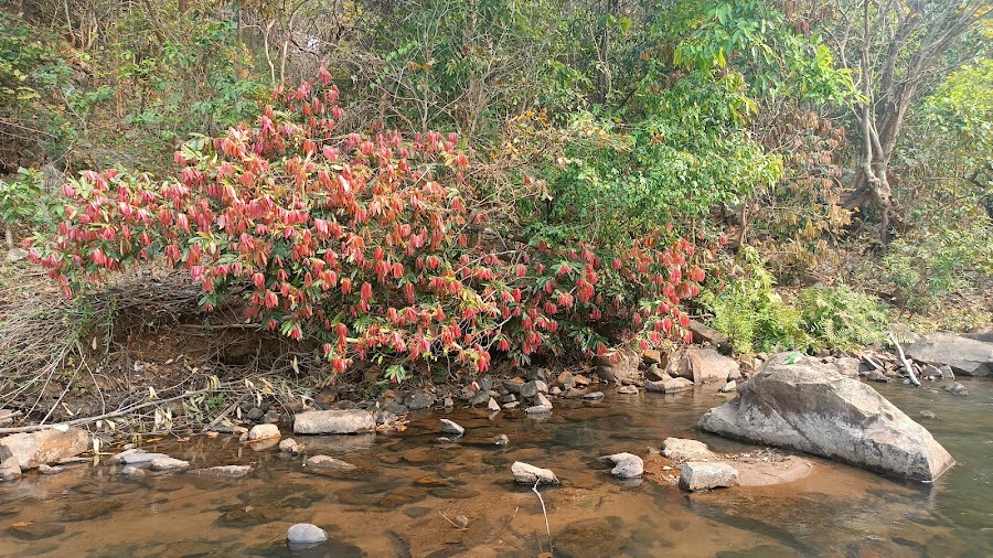 Lulung - Photo 3