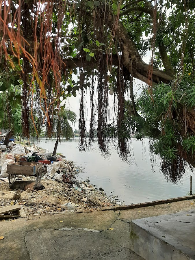 Harahi Pond - Photo 2