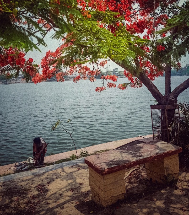 Harahi Pond - Photo 4