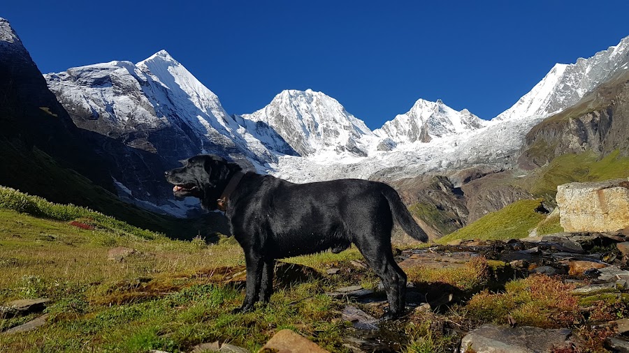 Panchchuli Peaks - Photo 3