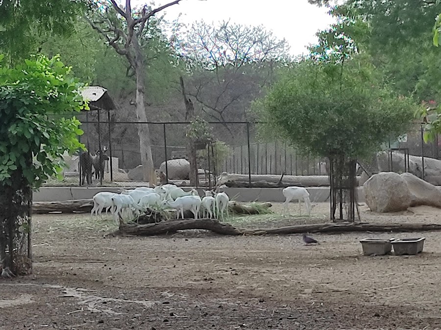 GEER Foundation - Haran Udhyan - Photo 3