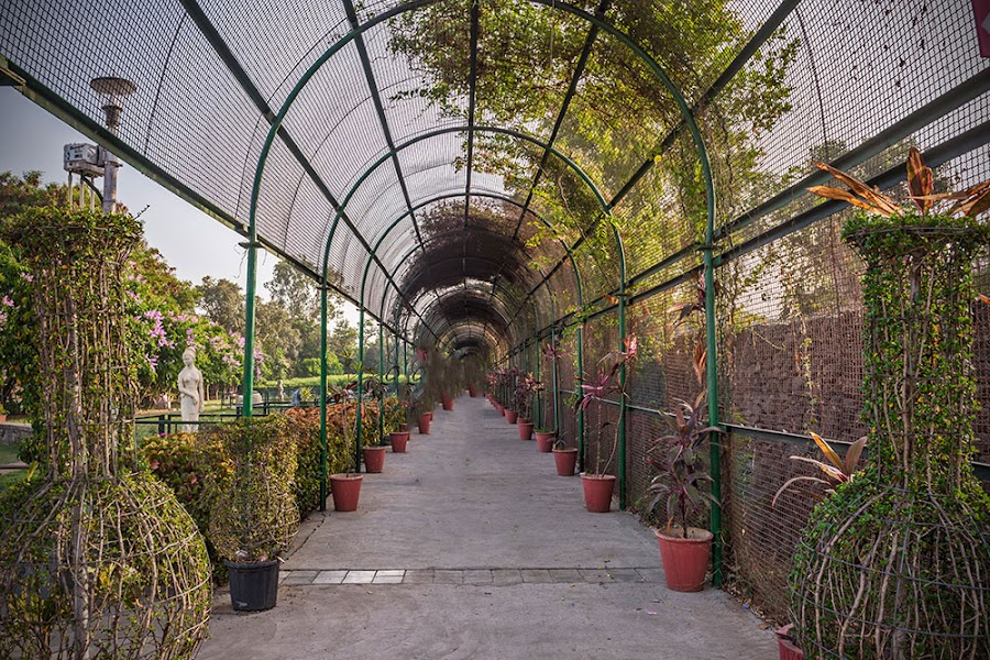 Sneh Rashmi Botanical Garden - Photo 2