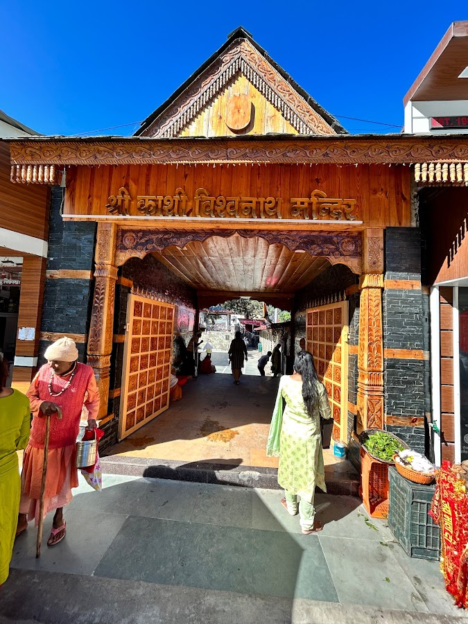 Vishwanath Temple - Photo 5