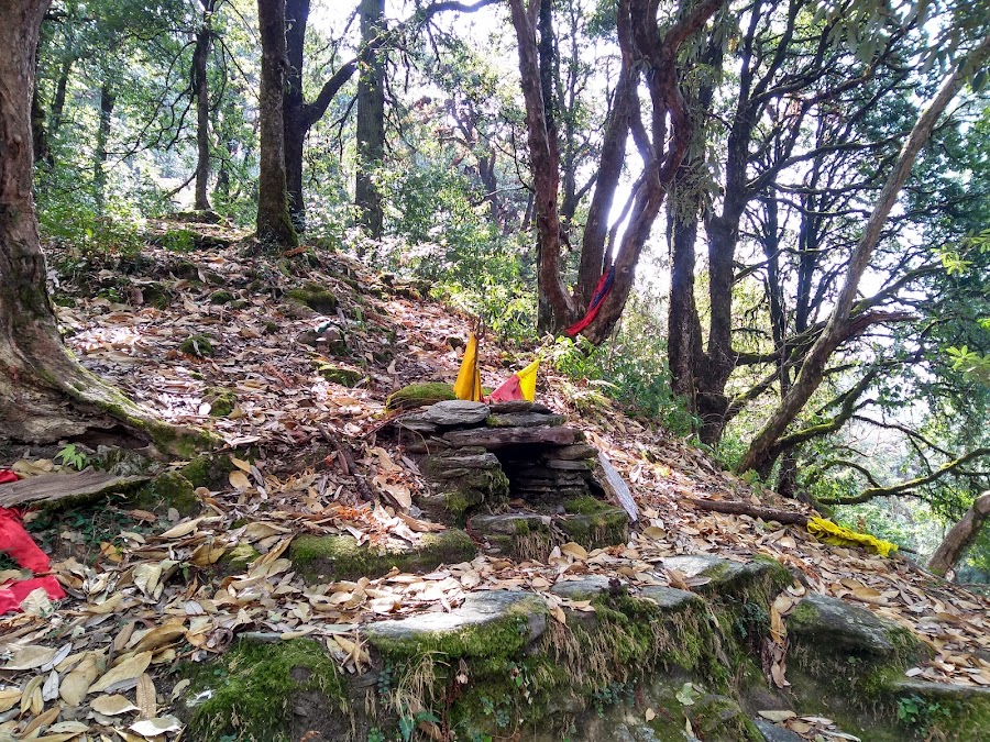 Rohini Bugyal - Photo 3