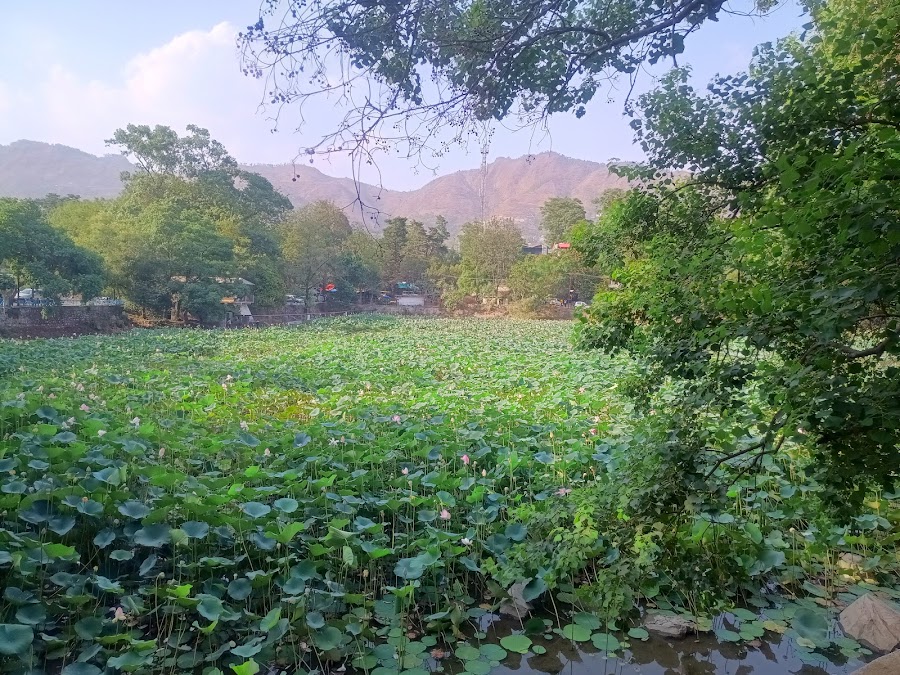 Kamal Taal - Photo 10