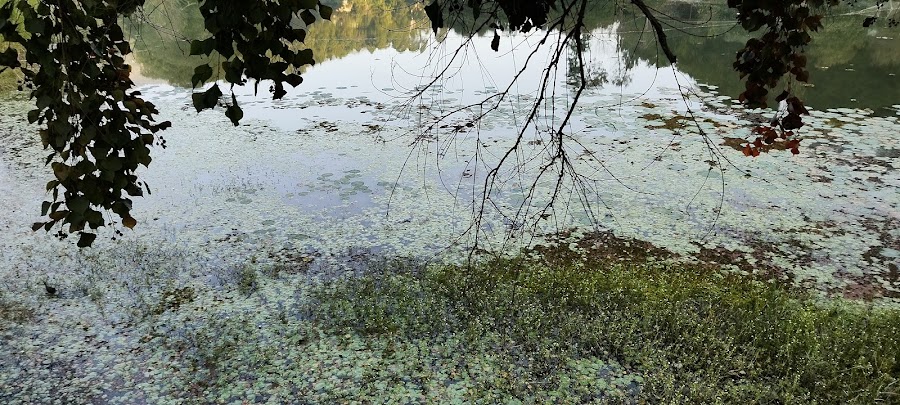 Kamal Taal - Photo 7