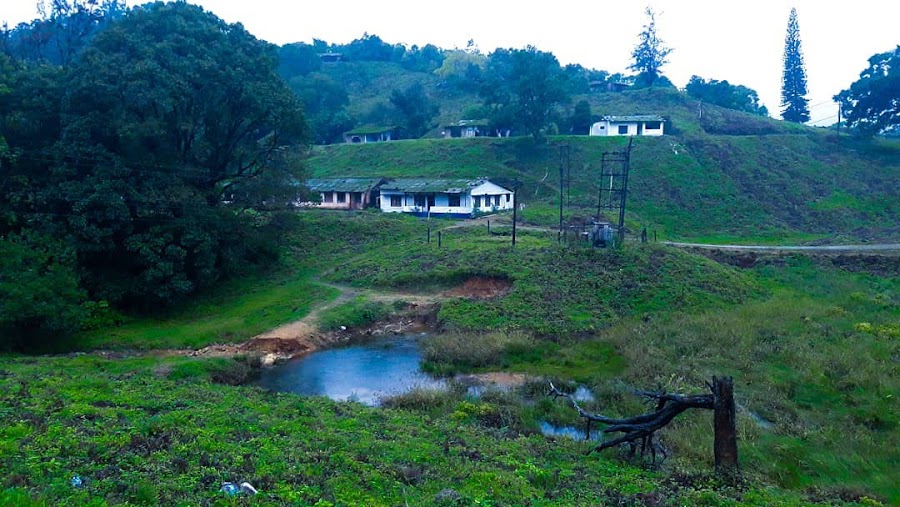 Periyar Tiger Reserve - Photo 3