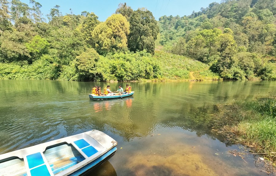 Periyar Tiger Reserve - Photo 4