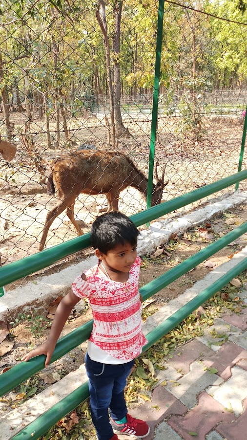 Deer Park - Photo 3