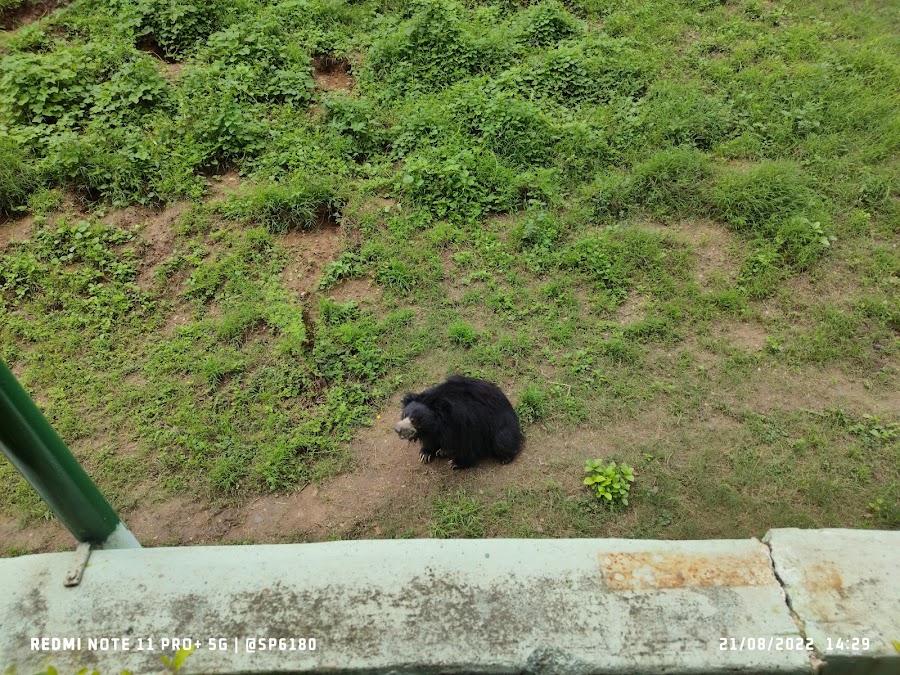 Sarthana Nature Park - Photo 2