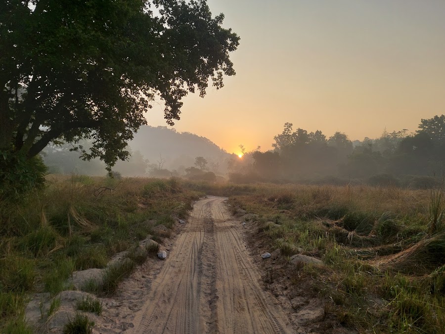 Chilla Wildlife Sanctuary - Photo 2